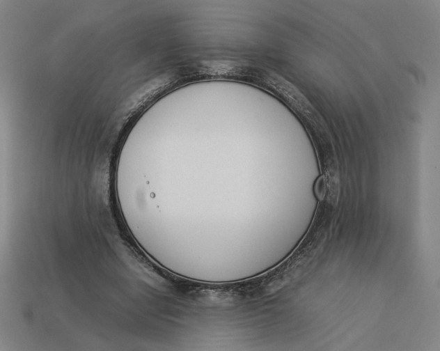 X0000113350442200910061022