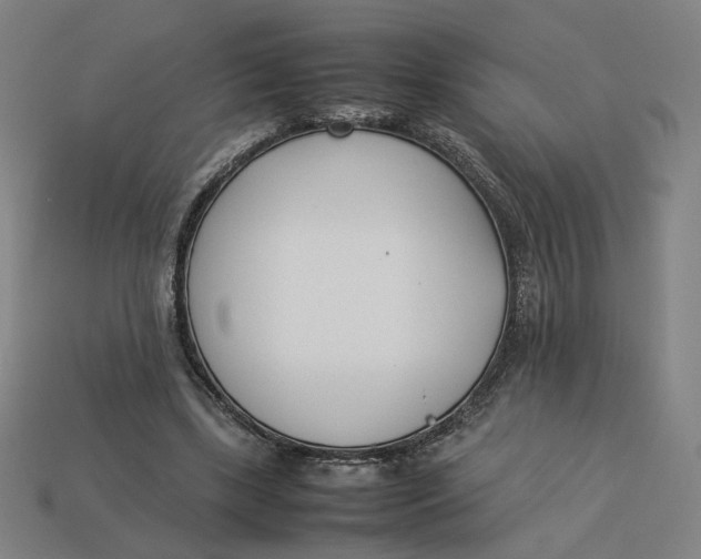 X0000113350443200910061022