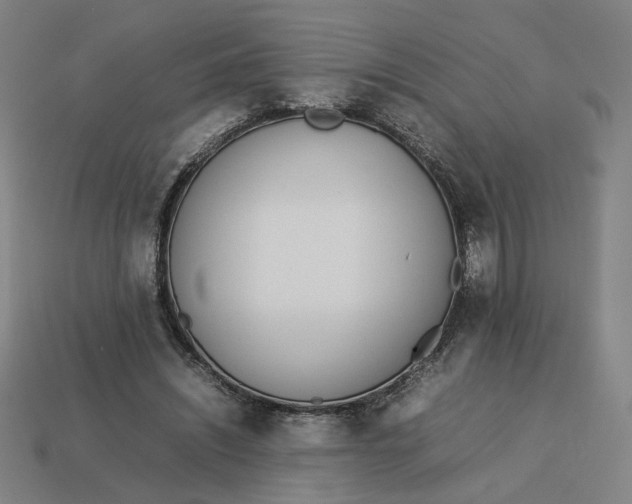 X0000113350444200910061022