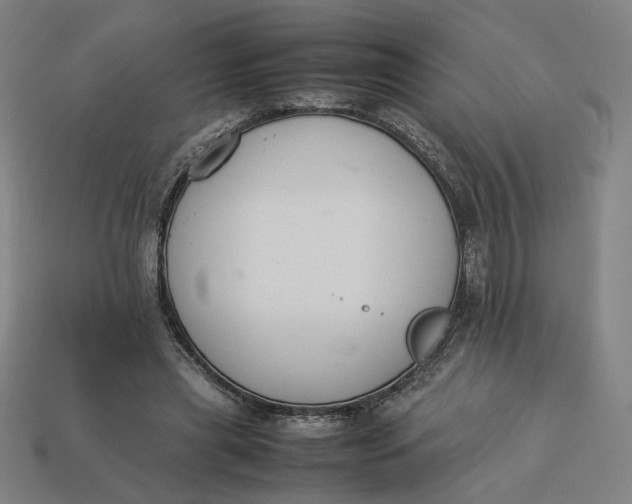 X0000113350445200910061022