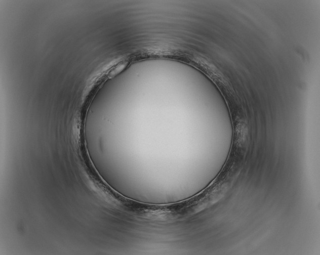 X0000113350446200910061022