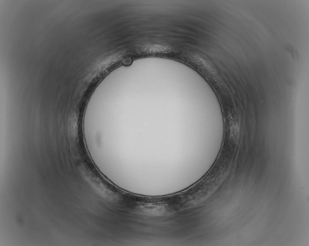 X0000113350447200910061022