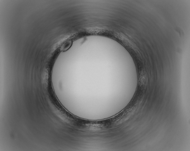 X0000113350448200910061022