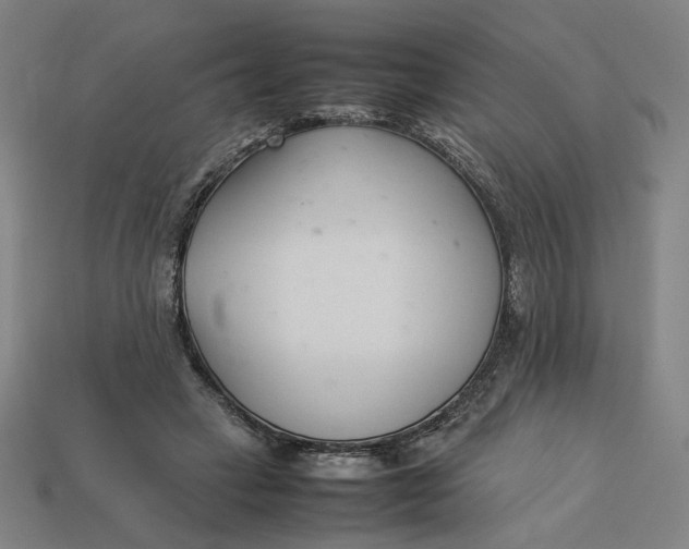 X0000113350449200910061022