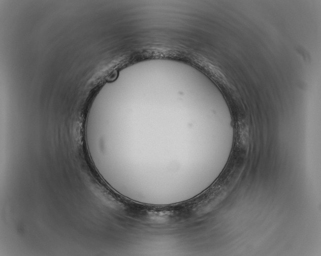 X0000113350450200910061022