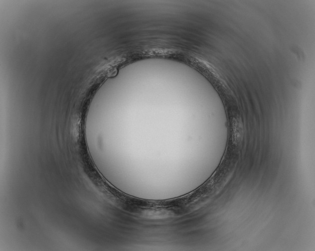 X0000113350451200910061022