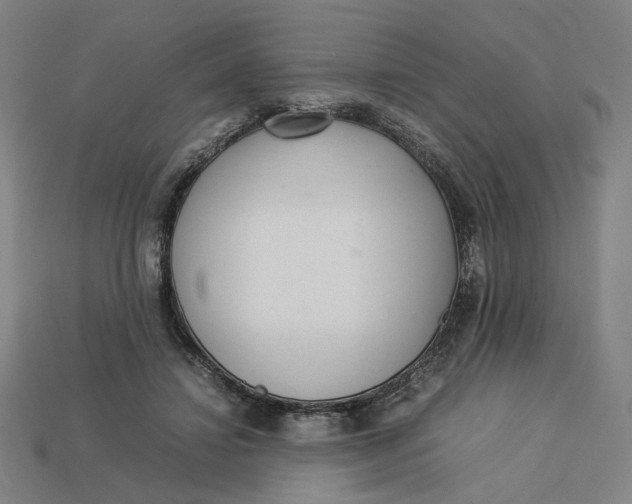 X0000113350452200910061022