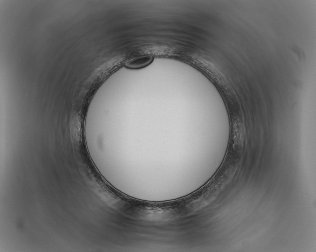 X0000113350453200910061022