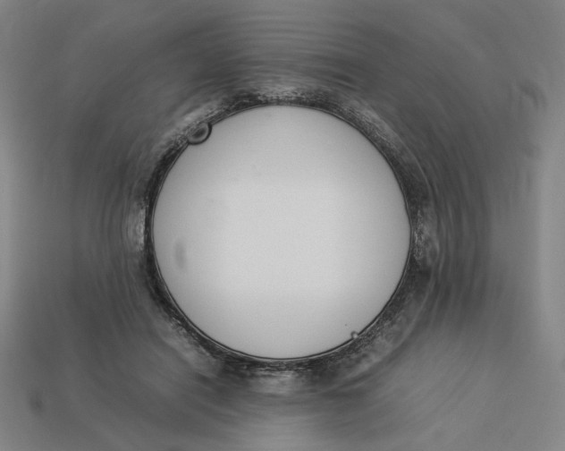 X0000113350454200910061022