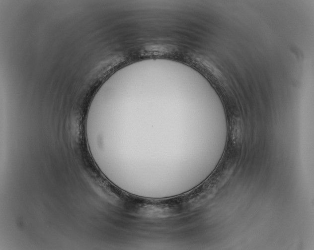 X0000113350455200910061022