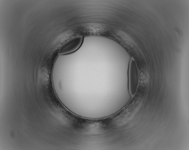 X0000113350456200910061022