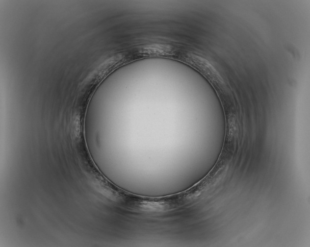 X0000113350457200910061022