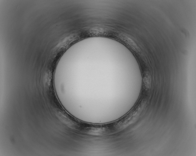 X0000113350458200910061022