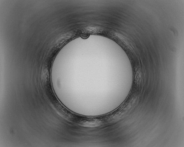 X0000113350459200910061022