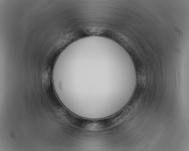 X0000113350460200910061022