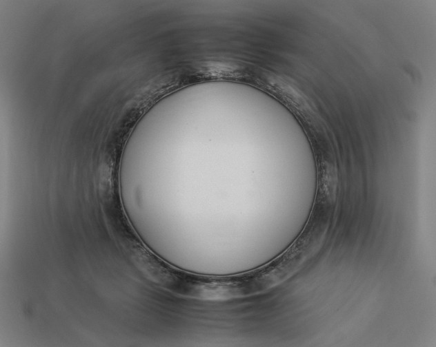 X0000113350461200910061022