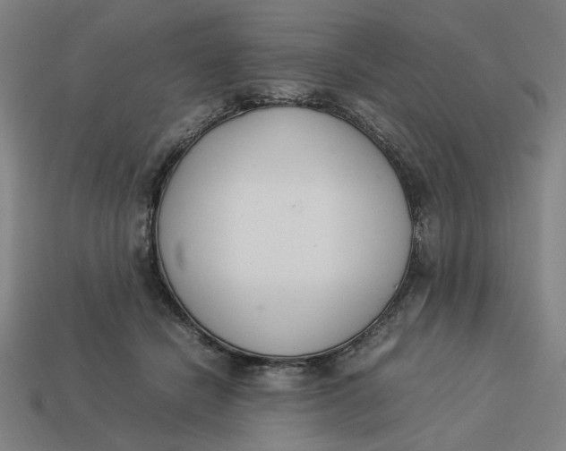 X0000113350462200910061022