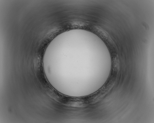 X0000113350463200910061022