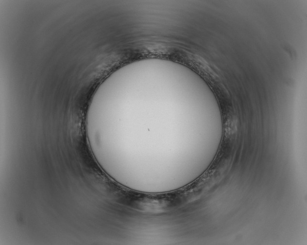 X0000113350464200910061022