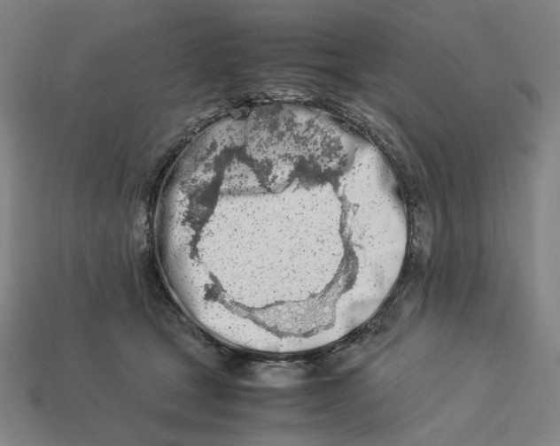 X0000113350465200910061022