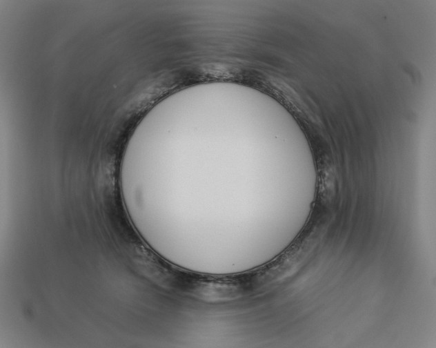 X0000113350466200910061022