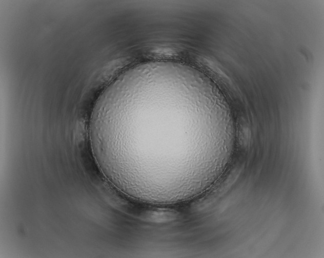 X0000113350467200910061022