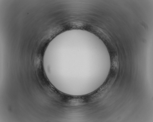 X0000113350468200910061022