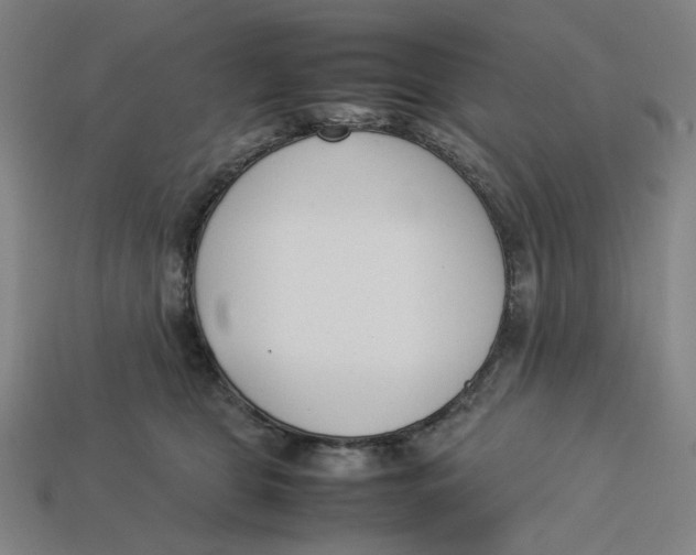 X0000113350469200910061022