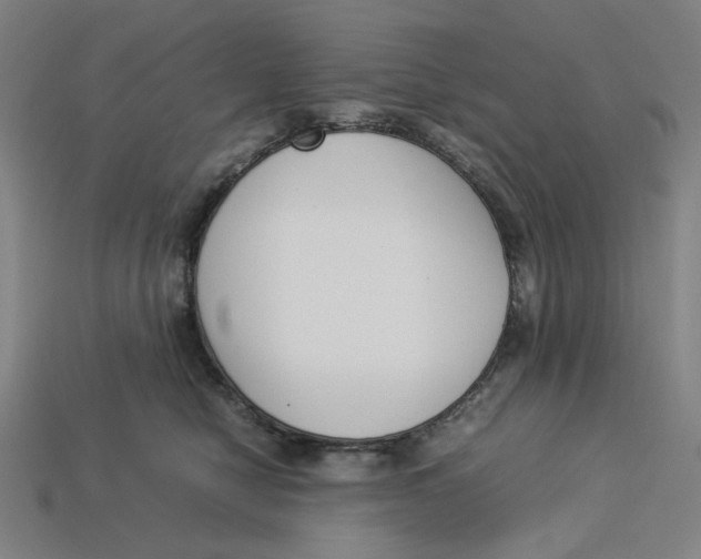 X0000113350470200910061022