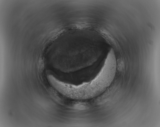 X0000113350471200910061022