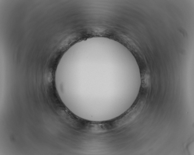 X0000113350472200910061022