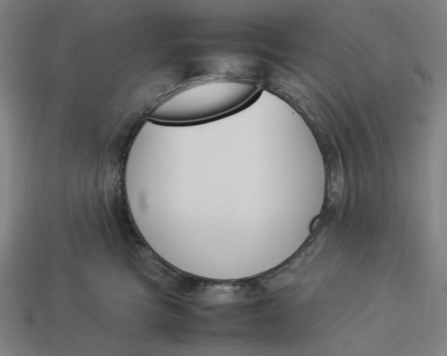 X0000113350473200910061022