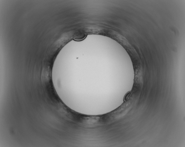 X0000113350474200910061022