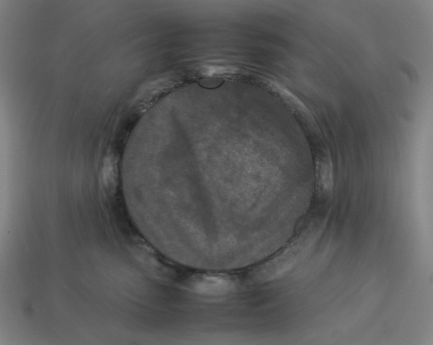 X0000113350475200910061022