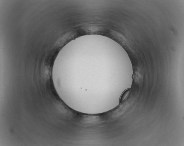 X0000113350476200910061022