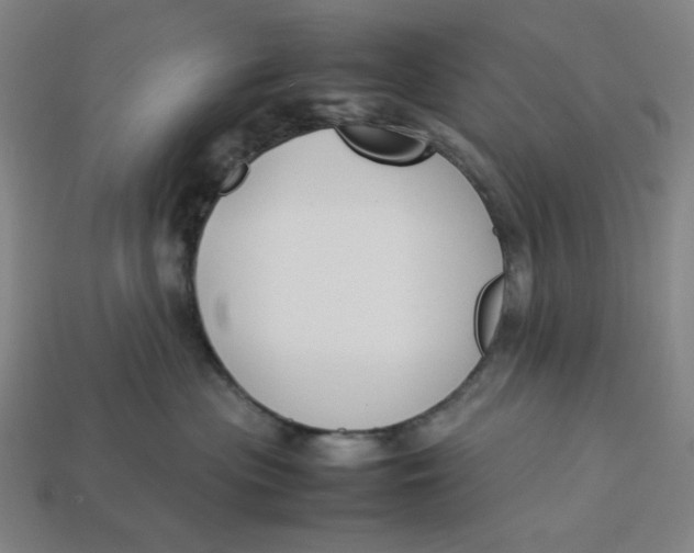 X0000113350477200910061022