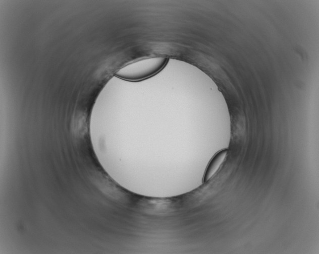 X0000113350478200910061022