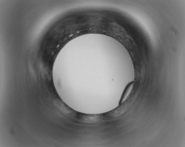 X0000113350479200910061022