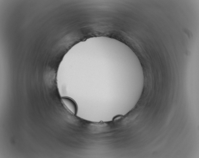 X0000113350480200910061022