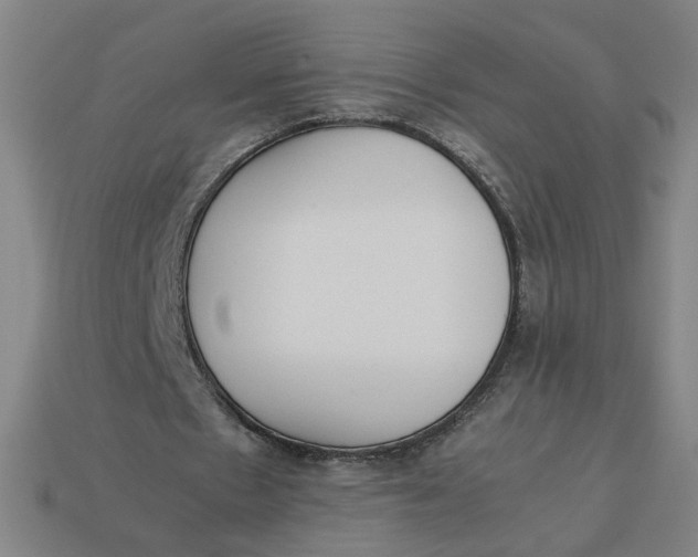 X0000113350481200910061022