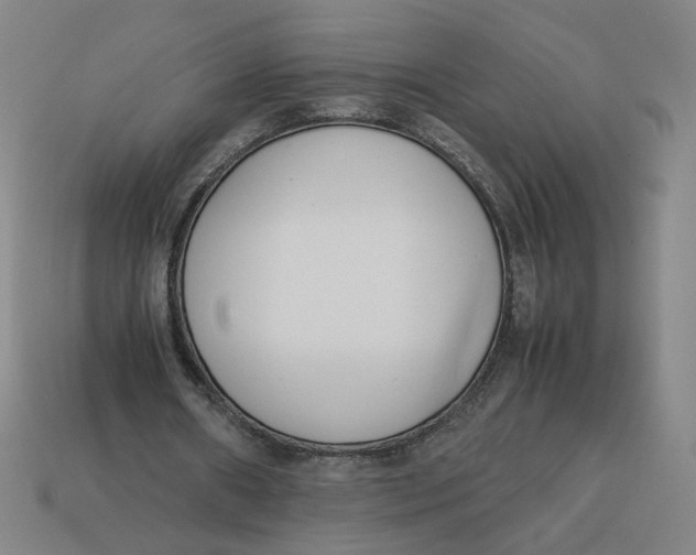 X0000113350482200910061022