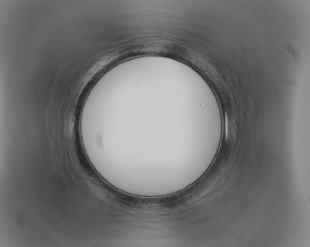 X0000113350483200910061022