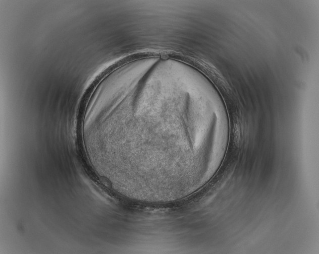 X0000113350484200910061022