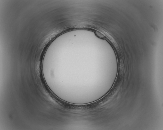 X0000113350485200910061022