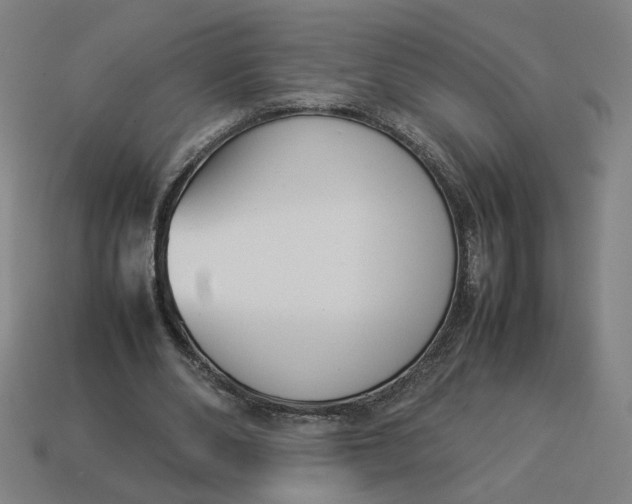 X0000113350486200910061022