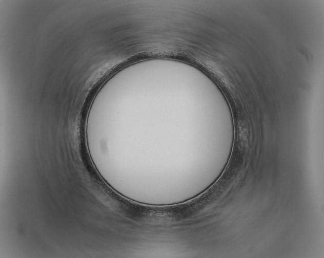 X0000113350487200910061022