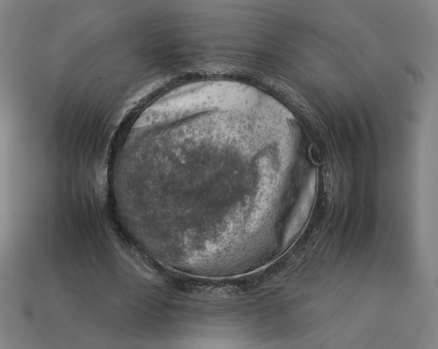 X0000113350488200910061022