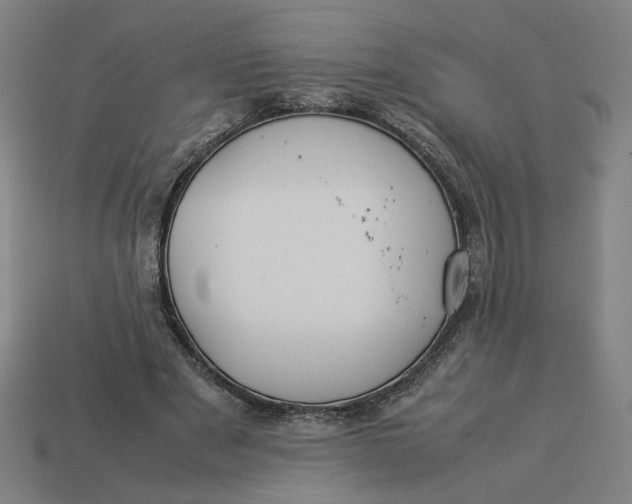 X0000113350489200910061022