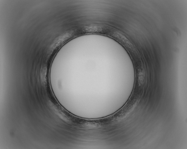 X0000113350490200910061022