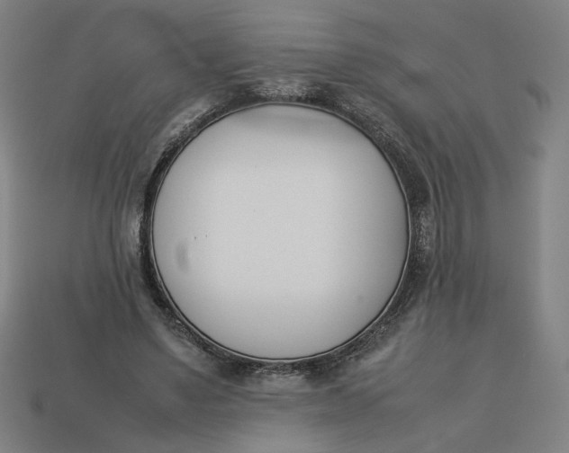 X0000113350491200910061022